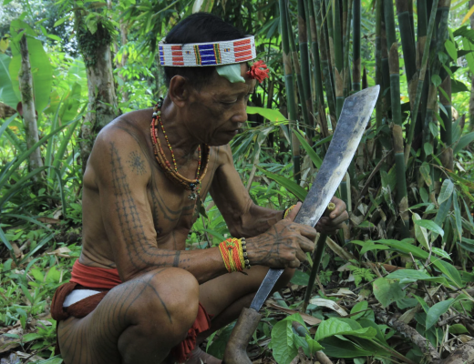 Dua Pertarungan di Tengah Hutan Siberut