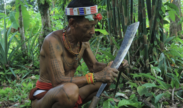 Dua Pertarungan di Tengah Hutan Siberut