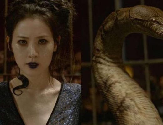 Nagini di Belantara Paris dan Mencari Pandangan Sekejap Sang Filsuf (Philofest)