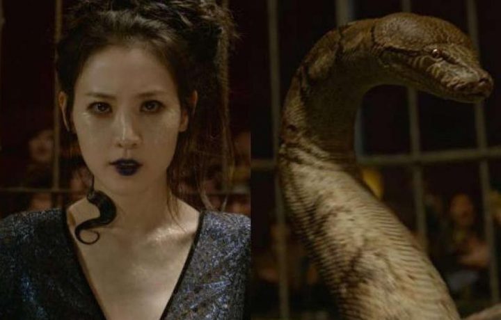 Nagini di Belantara Paris dan Mencari Pandangan Sekejap Sang Filsuf (Philofest)