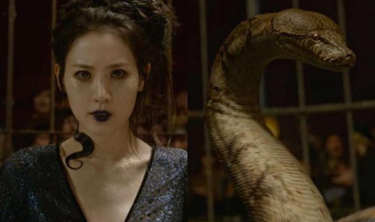 Nagini di Belantara Paris dan Mencari Pandangan Sekejap Sang Filsuf (Philofest)